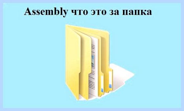 Assembly что это (assembly, вашей системы, изучение программирования, лишних файлов, «GAC_32» «GAC_64», Ashampoo WinOptimizer) Assembly что это