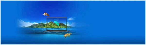Asus a516ja не работает тачпад