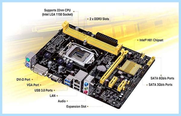 Asus h81m k подключение плате есть