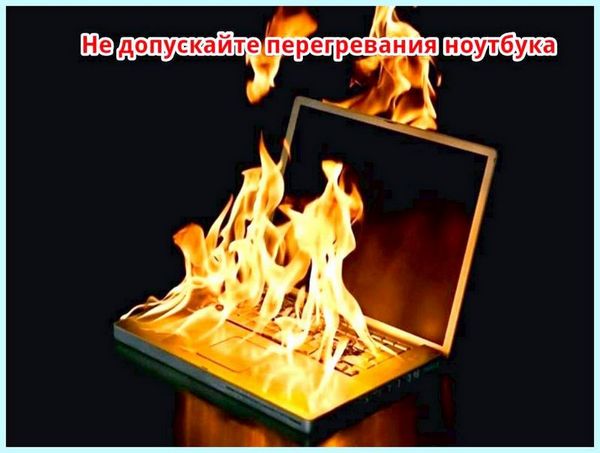 Asus не горит экран