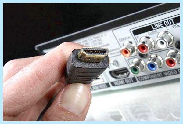 Asus не горит экран