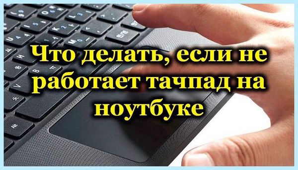 Asus tuf f17 не работает тачпад
