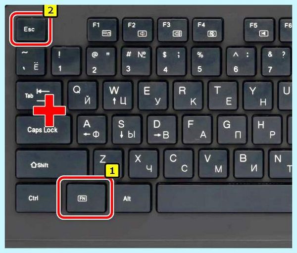 Asus tuf gaming подсветка клавиатуры (asus, gaming, подсветка, клавиатура, ASUS Gaming, подсветки клавиатуры) Asus tuf gaming подсветка клавиатуры