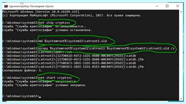 Win 10 служба обновления (служба, обновление, Центр обновления, Центр обновления Windows) Win 10 служба обновления