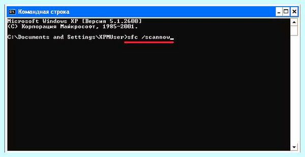 Win xp подсистема печати недоступна