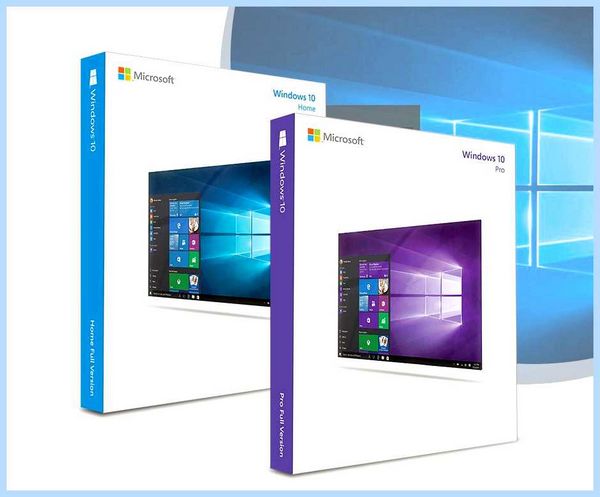 Windows 10 pro vs home