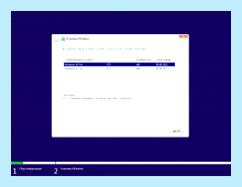 Windows 10 professional vl