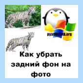Windows 10 забыть сеть