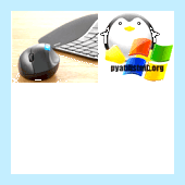 Windows 10 забыть сеть