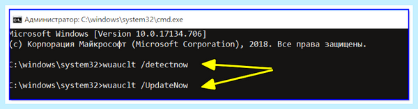 Windows 10 запуск обновления из командной строки (windows, запуск, обновление, командный, строка, обновления Windows) Windows 10 запуск обновления из командной строки