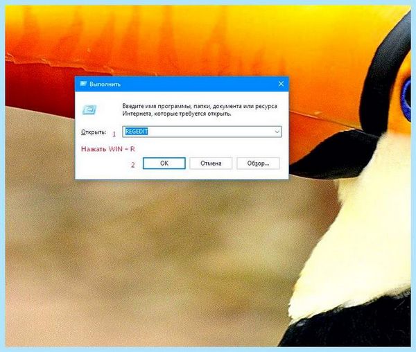 Attrib exe ошибка приложения 0xc0000142 (attrib, ошибка, приложение, 0xc0000142, запуске приложения) Attrib exe ошибка приложения 0xc0000142