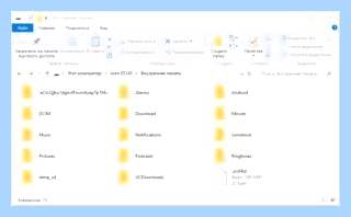 Backups что это за папка