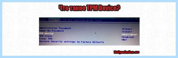 Bios protect что это