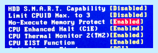 Bios protect что это