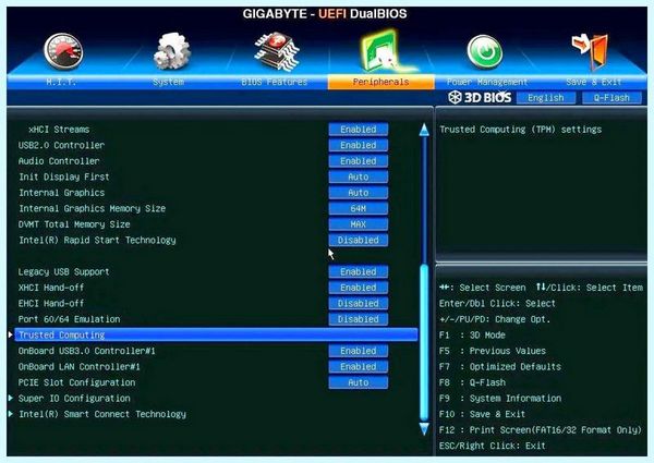 Bios tpm что это