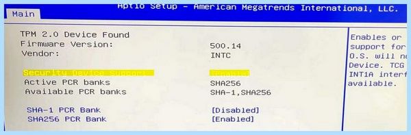Bios tpm что это