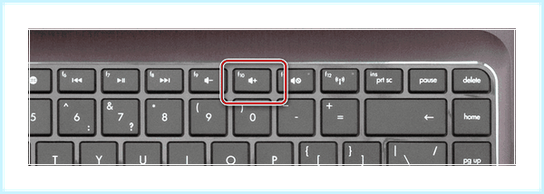 Boot device not found hp (boot, device, found, Laptop series) Boot device not found hp