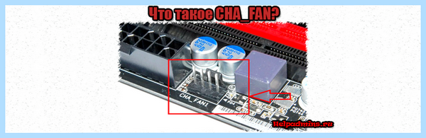 Chassis fan что это