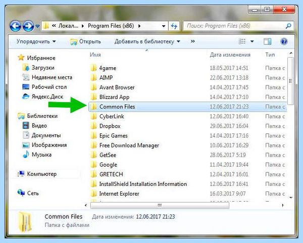 Common files что это удалять абсолютно любые файлы на Common files что это удалять абсолютно любые файлы на