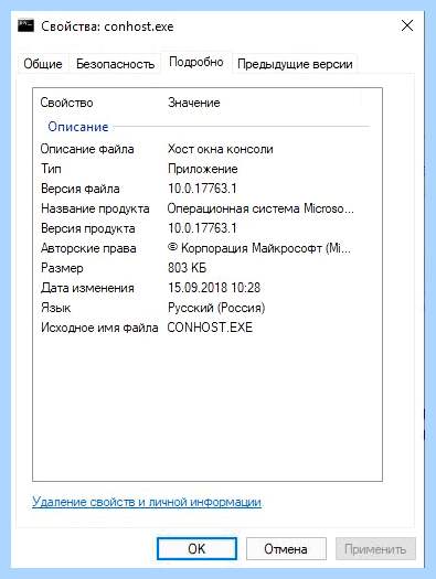 Conhost exe что это