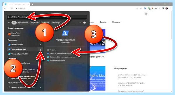 Cortana blue twitter