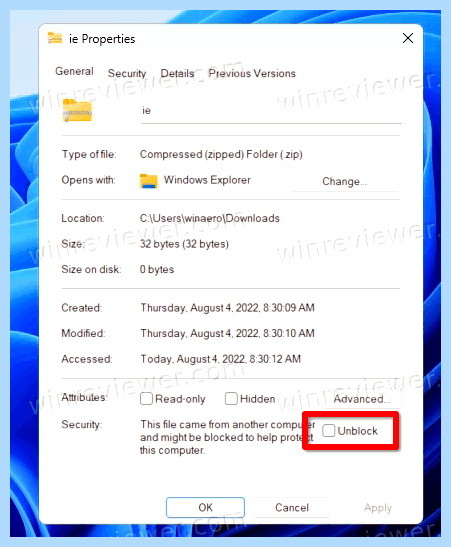 C program files internet explorer iexplore