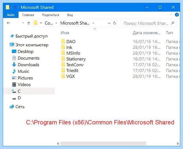 C program files x86 common files (program, files, common, Common Files, Program Files) C program files x86 common files