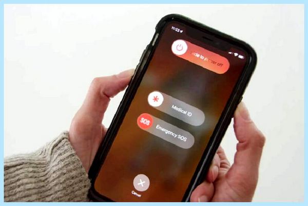 Apple mobile device
