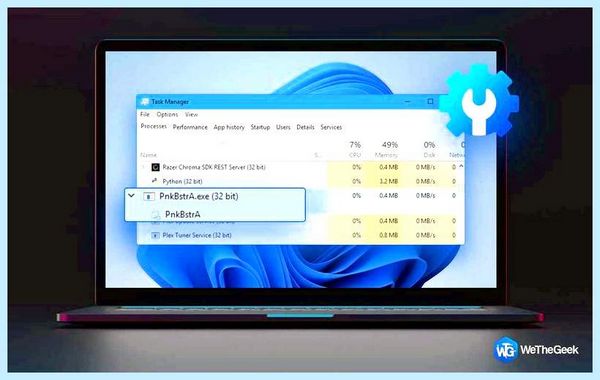 C windows system32 pnkbstra exe no