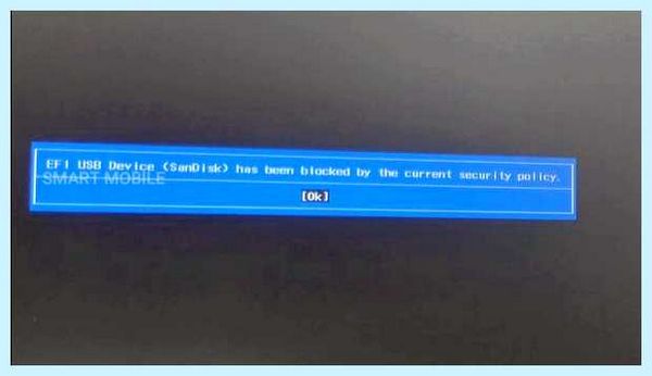 Efi usb device что это
