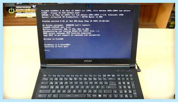 Freedos что это