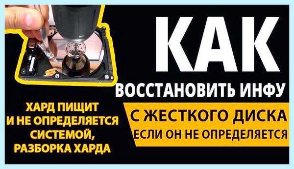 Hdd щелкает и не определяется