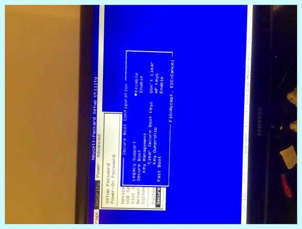 Hp setup utility