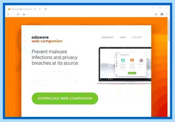 Web companion это